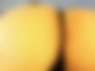 avawhitte's Live Sex Cam Show