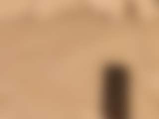 dionneventuri's Live Sex Cam Show