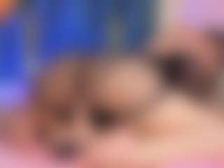 Emilia-Monroee's Live Sex Cam Show