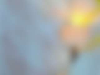 Live cam show with MichelLebronX - College Brown Hair on Dolls Live