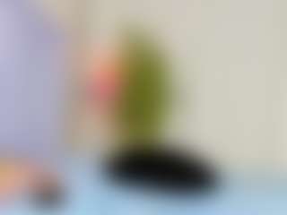 veshy7's Live Sex Cam Show