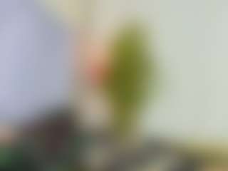 Live cam show with veshy7 - Asshole on Fling VIP Chat