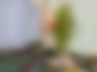 veshy7's Live Sex Cam Show