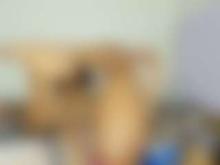 veshy7's Live Sex Cam Show