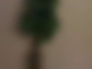 DebrahBeedle's Live Sex Cam Show