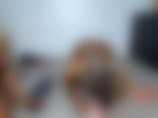GoldMistres's Live Sex Cam Show