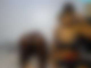 DollyCookie's Live Sex Cam Show