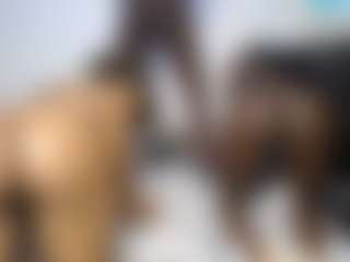 DollyCookie's Live Sex Cam Show