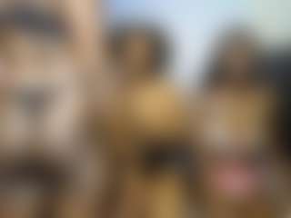 Live cam show with DollyCookie - HD on Porn Luv