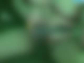 Live cam show with AlanDellon - Black Hair on googirlz
