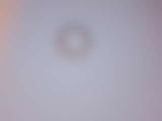 Bonnyandcarrot's Live Sex Cam Show