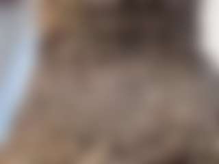 Live cam show with AmandaSweet333 - Young Adult on xDating