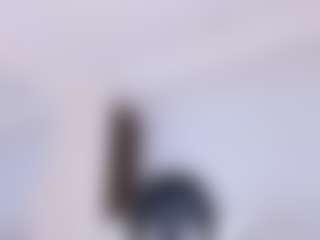 AylinLove's Live Sex Cam Show