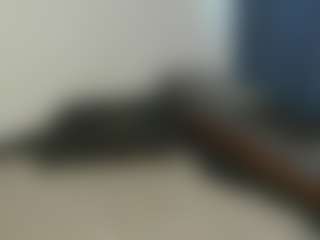 miawlofy's Live Sex Cam Show