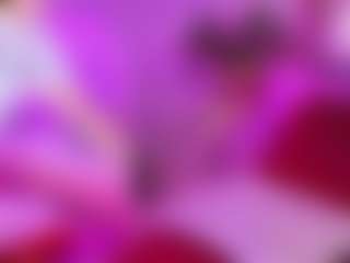 Live cam show with CamiloSeed - Spank on Streamer API