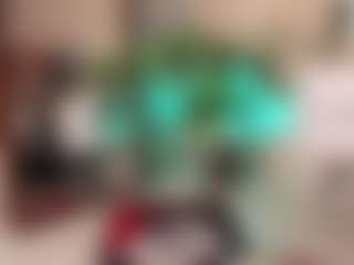 Live cam show with Mayte - New Latina on parknlotfishbdy | colombia