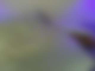 VioletaSpiicy's Live Sex Cam Show