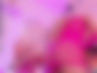 Hailey's Live Sex Cam Show