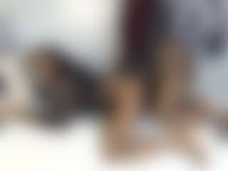 Royal309's Live Sex Cam Show