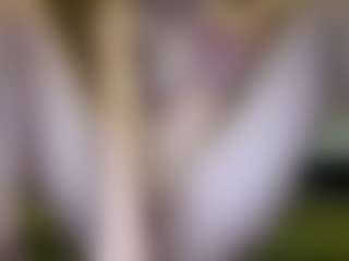 amandatrieshard's Live Sex Cam Show