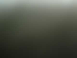 Seductivehaloxo's Live Sex Cam Show