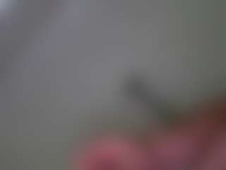 blondebaddie2026's Live Sex Cam Show