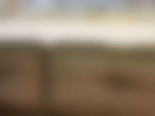 Gabyveli's Live Sex Cam Show
