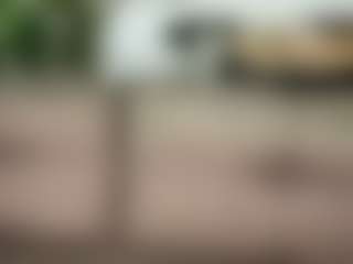 Gabyveli's Live Sex Cam Show