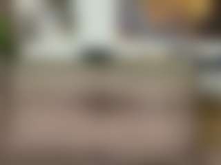 Gabyveli's Live Sex Cam Show