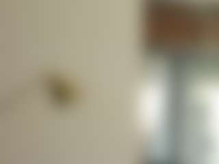 ArteGirlXO's Live Sex Cam Show
