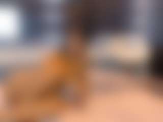 Live cam show with Natasha and Fariana HOT Teens - White on CSO-WL | colombia