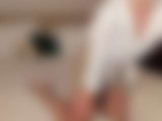 Cirilla-Rosee's Live Sex Cam Show