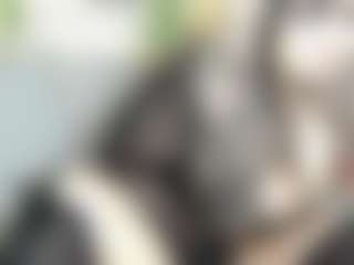 salemhaze6's Live Sex Cam Show