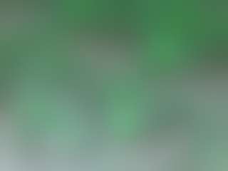AFRICA THEE SAVAGE's Live Sex Cam Show