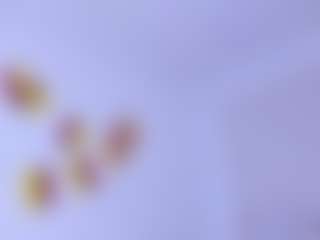 AntonyDossa's Live Sex Cam Show