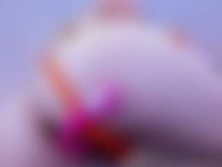 RachelTom's Live Sex Cam Show