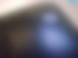 CarlDHammers2's Live Sex Cam Show
