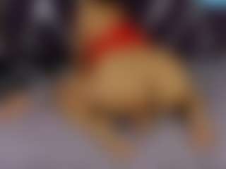 Kiara2asm's Live Sex Cam Show