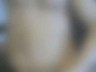 Live cam show with Cute Muscled Anaconda - Orgasm on chickslive.net