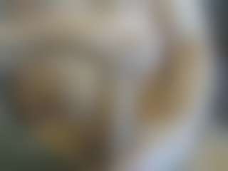 Live cam show with Cute Muscled Anaconda - Tease on CSO-WL