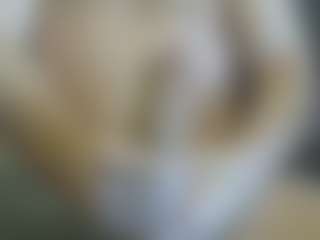 Live cam show with Cute Muscled Anaconda - Outside on Camsoda
