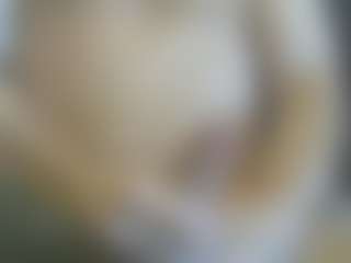 Live cam show with Cute Muscled Anaconda - Big Cock on CSO-WL