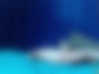 Dania-wish's Live Sex Cam Show