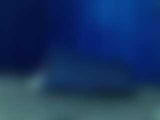 Dania-wish's Live Sex Cam Show