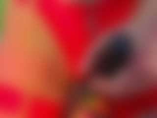 MariaSandsen's Live Sex Cam Show