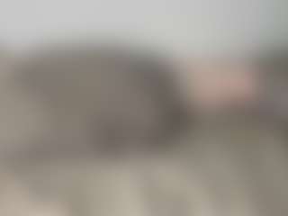 MolliePolich's Live Sex Cam Show