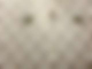 NakitaGesmondi's Live Sex Cam Show