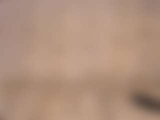 BreeCarse's Live Sex Cam Show