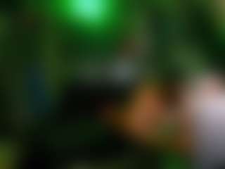 comatoserose's Live Sex Cam Show