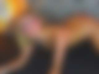 miaroldan's Live Sex Cam Show